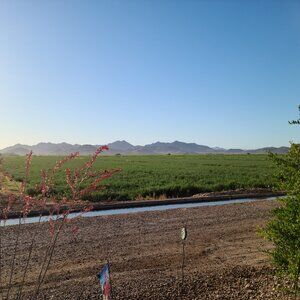 Meet your Posher, Teri